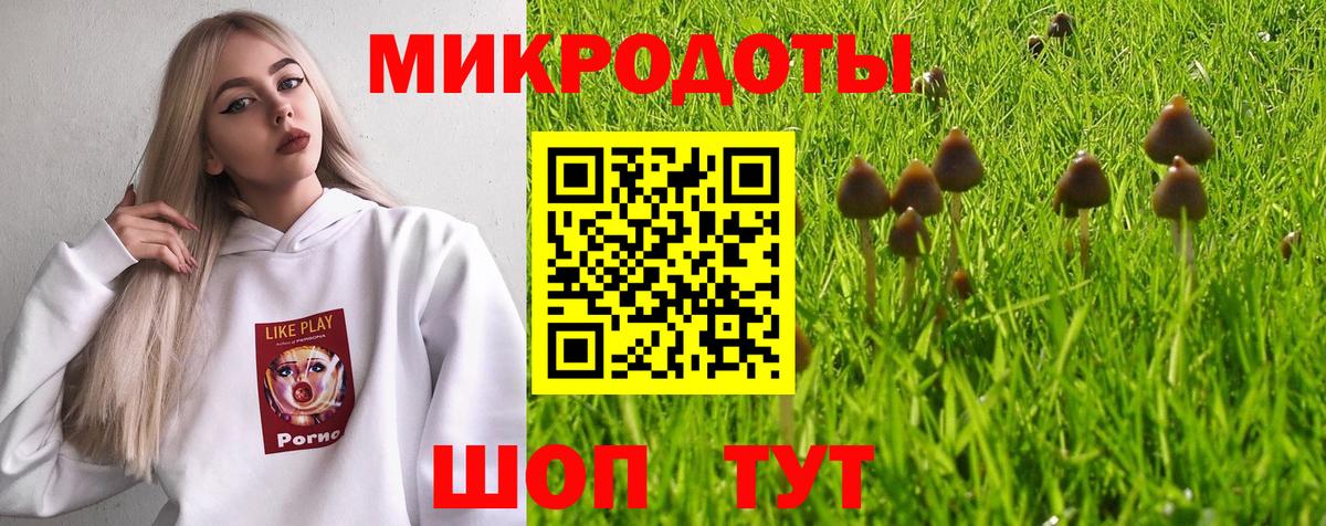 Галлюциногенные грибы Magic Shrooms Сегежа