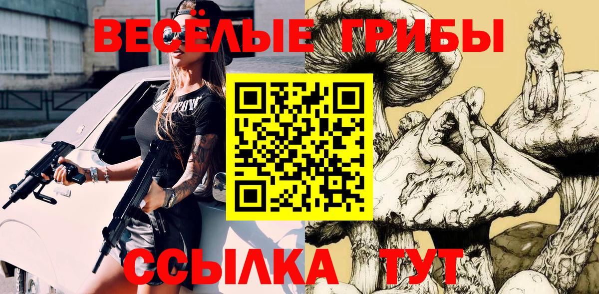 где купить   Вход с VPN  Сегежа  Галлюциногенные грибы Psilocybe 